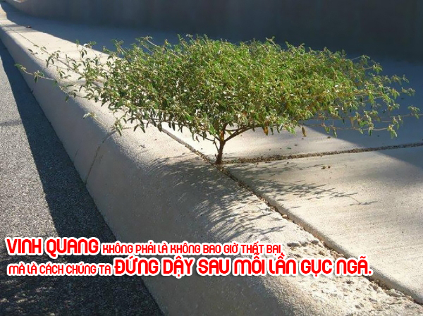 Những Câu Nói Hay Khiến Cho Cuộc Sống Của Bạn Có Ý Nghĩa 2