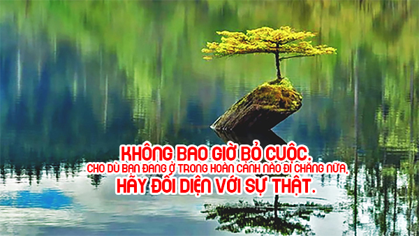 Những Câu Nói Hay Khiến Cho Cuộc Sống Của Bạn Có Ý Nghĩa 3