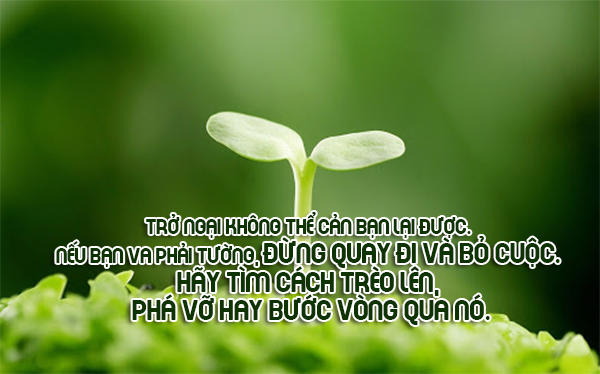 Những Câu Nói Hay Khiến Cho Cuộc Sống Của Bạn Có Ý Nghĩa 10