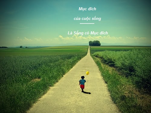 Tổng Hợp Những Câu Nói Hay Về Cuộc Sống Khiến Bạn Phải Suy Ngẫm 7