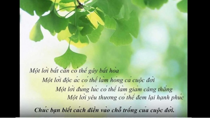 Tổng Hợp Những Câu Nói Hay Về Cuộc Sống Khiến Bạn Phải Suy Ngẫm 8