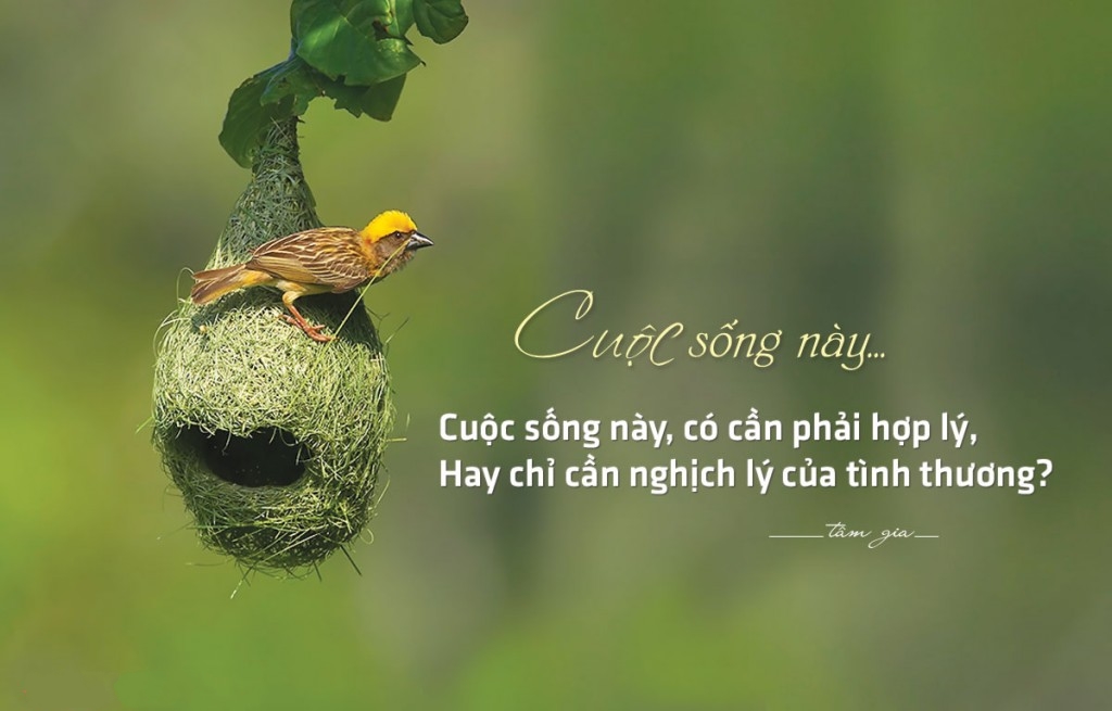 Tổng Hợp Những Câu Nói Hay Về Cuộc Sống Khiến Bạn Phải Suy Ngẫm 14