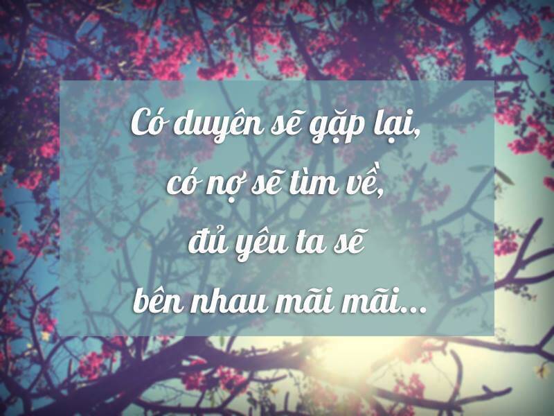 Tuyển Tập Những Câu Nói Hay Nhức Nhối Về Tình Yêu Khiến Bạn Phải Suy Ngẫm 13
