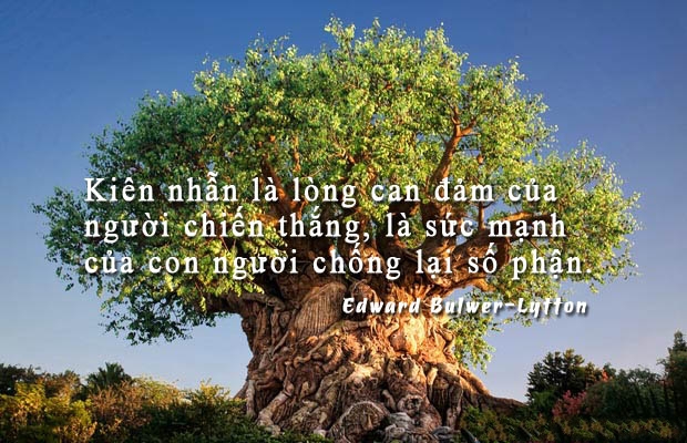 Sức Mạnh Của Lòng Kiên Nhẫn Trong Cuộc Sống 3