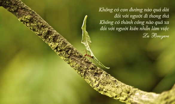 Sức Mạnh Của Lòng Kiên Nhẫn Trong Cuộc Sống 4