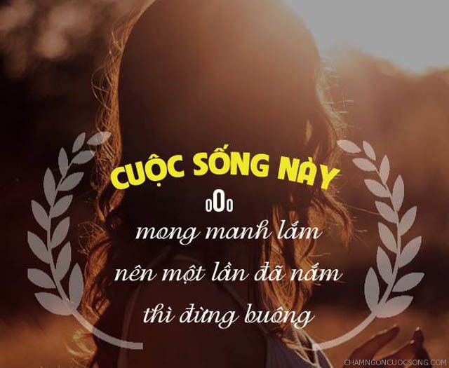 Hãy Trân Trọng Cuộc Sống Hiện Tại Mà Bạn Đang Có 3