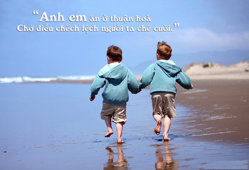 Tuyển Tập Những Câu Nói Hay Nhất Về Tình Anh Em Cùng Hình Ảnh Đẹp Ý Nghĩa 5