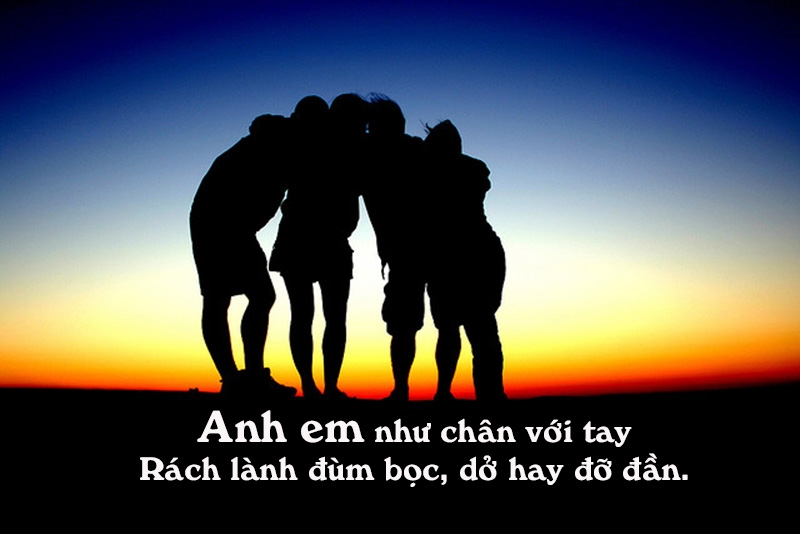 Tuyển Tập Những Câu Nói Hay Nhất Về Tình Anh Em Cùng Hình Ảnh Đẹp Ý Nghĩa 8