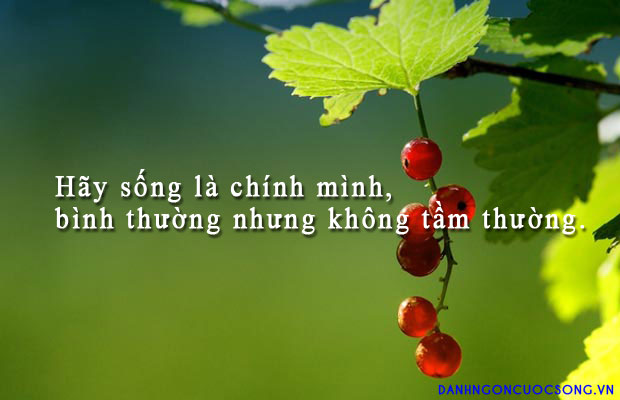 Những Câu Nói Khiến Bạn Cảm Thấy Cuộc Đời Này Ý Nghĩa Hơn 4