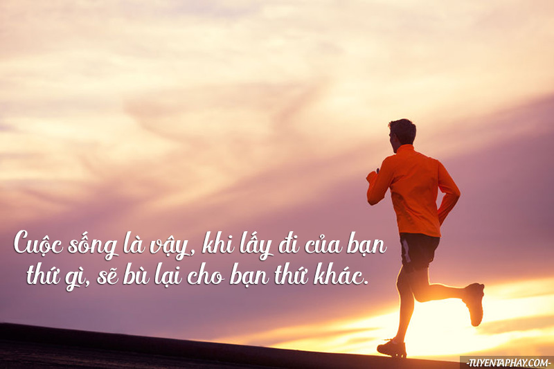 Những Câu Nói Hay Giúp Bạn Truyền Cảm Hứng Trong Cuộc Sống 4