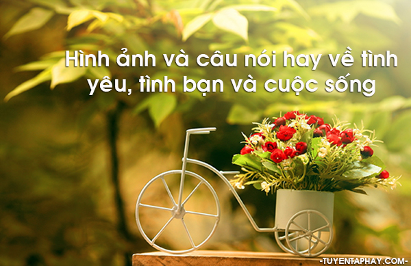 Những Bí Quyết Giúp Cuộc Sống Bạn Hạnh Phúc Hơn. 0