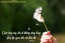 Có Những Điều Của Cuộc Sống. 5