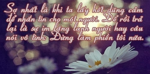 Câu Nói Hay Về Tình Yêu Đơn Phương Của Người Con Trai. 5