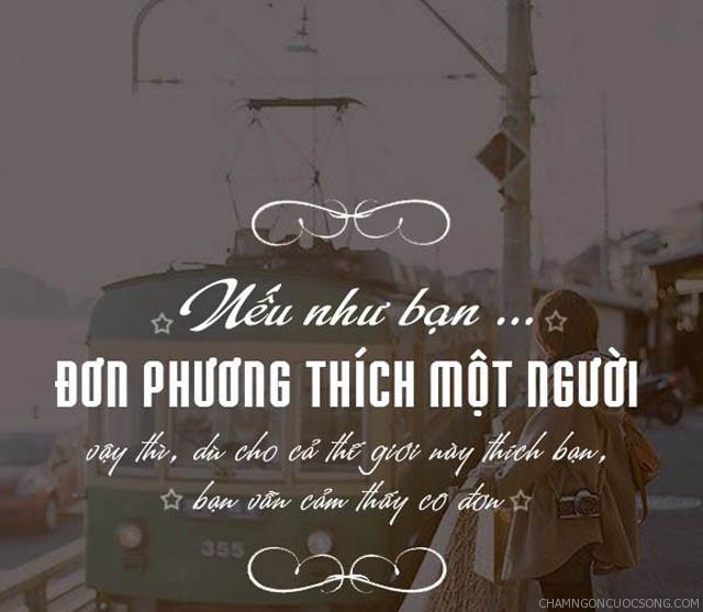 Câu Nói Hay Về Tình Yêu Đơn Phương Của Người Con Trai. 8
