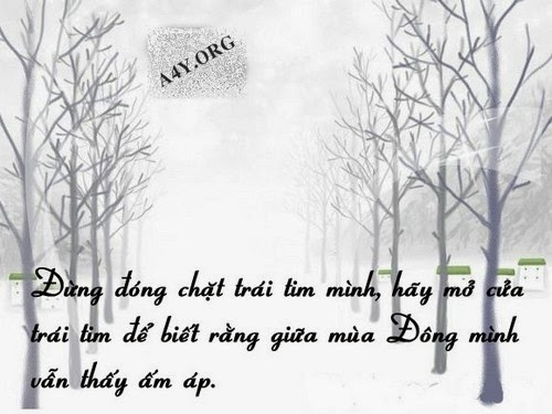 Sưởi Ấm Mùa Đông Bằng Những Câu Nói Hay Về Tình Yêu. 7
