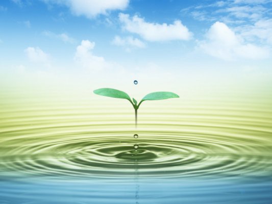 Status Ý Nghĩa Của Cuộc Sống 0