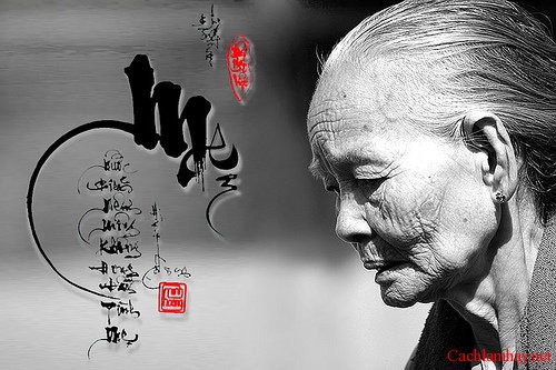 Câu Nói Hay Về Tình Mẹ Sâu Lắng Trong Trái Tim Mỗi Người 0