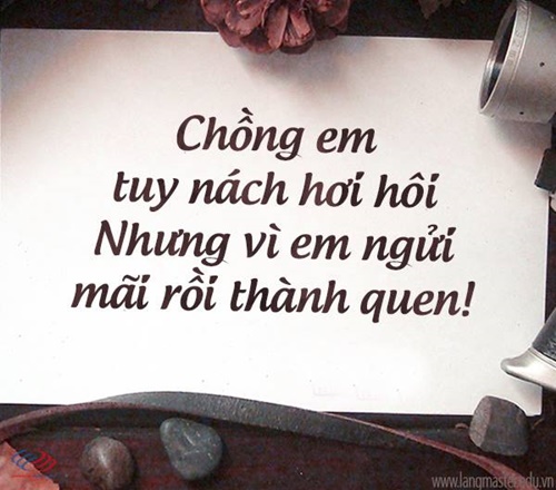 Những Câu Nói Hay Về Cuộc Sống Tếu Táo Mang Lại Tiếng Cười 2