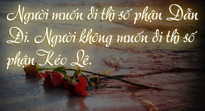 Những Câu Nói Hay Về Cuộc Sống Sâu Sắc Đáng Suy Ngẫm 0