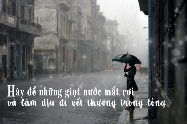 Những Câu Nói Hay Về Cuộc Sống Khích Lệ Tinh Thần Ý Nghĩa Nhất 1