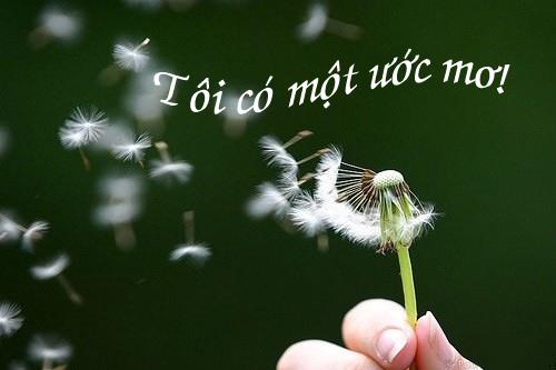 Những Câu Nói Hay Về Cuộc Sống Muôn Màu 1
