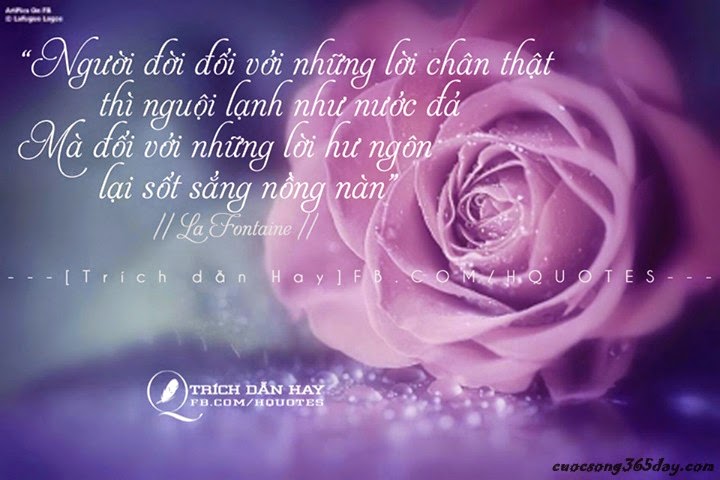 Những Câu Nói Hay Về Cuộc Sống Muôn Màu 2