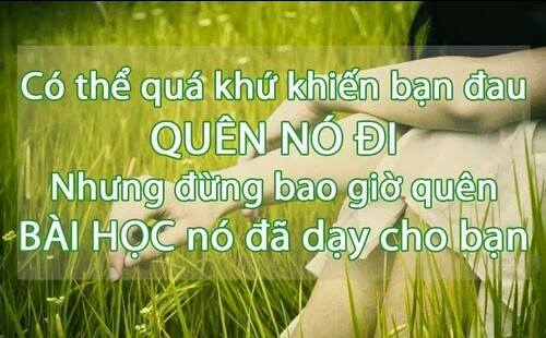 Những Câu Nói Hay Về Cuộc Sống Tươi Đẹp 1