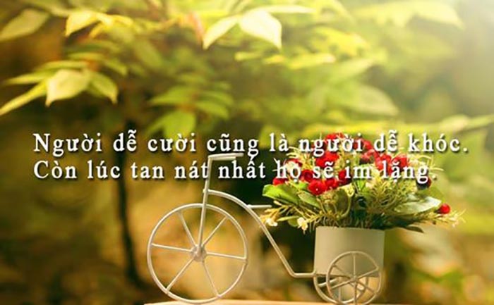 Những Câu Nói Hay Về Cuộc Sống Triết Lí Bạn Không Thể Bỏ Qua 1