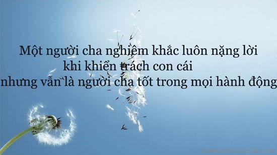 Câu Nói Hay Về Tình Cha Sâu Nặng Khiến Bạn Ngậm Ngùi 0