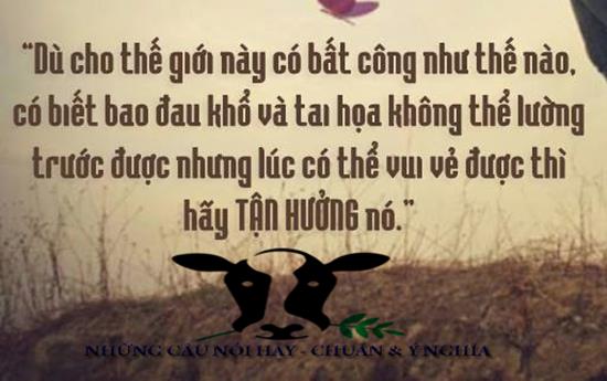 Hình Ảnh Cùng Những Câu Nói Hay Về Cuộc Sống Bạn Tâm Đắc Nhất 11