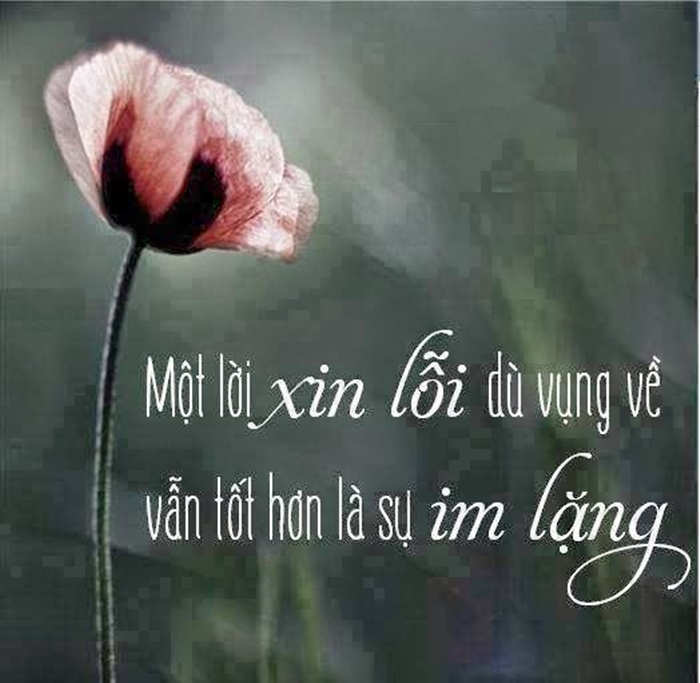 Những Câu Nói Hay Về Cuộc Sống Và Tình Yêu Lay Động Trái Tim 7