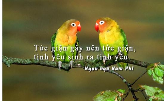 Hình Ảnh Cùng Những Câu Nói Hay Về Tình Yêu Tặng Lứa Đôi 2