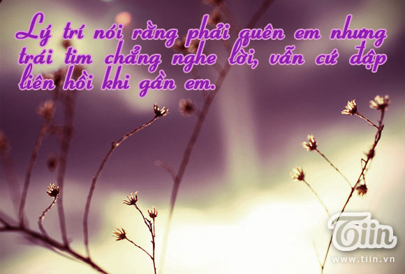 Những Câu Nói Hay Về Tình Yêu Thầm Nhức Nhối Con Tim 1