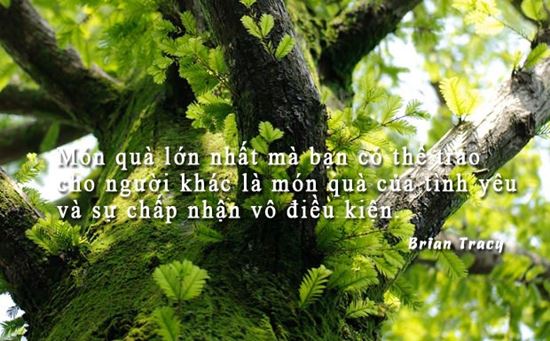 Những Câu Nói Hay Về Tình Yêu Trên Các Trang Mạng Xã Hội 1