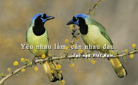 Những Câu Nói Hay Về Tình Yêu Trên Các Trang Mạng Xã Hội 3