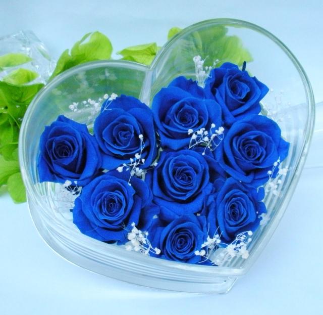 Hình Ảnh Đẹp Và Những Câu Nói Hay Về Tình Yêu Bạn Tâm Đắc Nhất 3