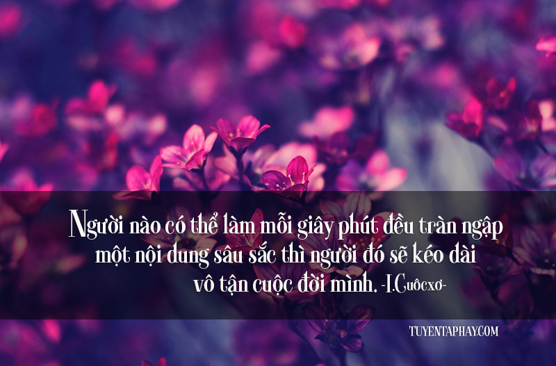 Hình Ảnh Đẹp Kèm Những Câu Nói Hay Về Cuộc Sống Bạn Không Thể Bỏ Qua 1