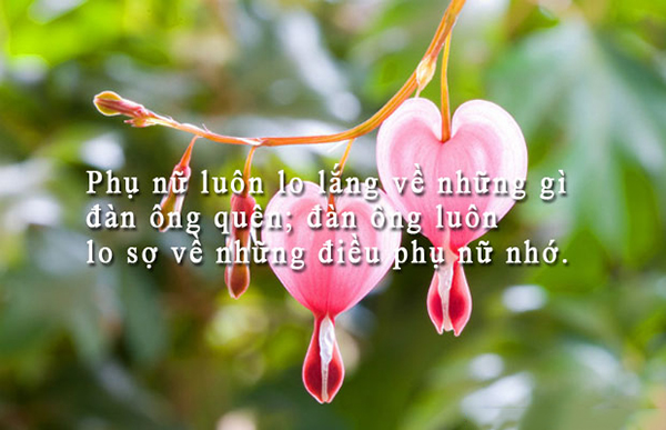 Hình Ảnh Đẹp Kèm Những Câu Nói Hay Về Cuộc Sống Bạn Không Thể Bỏ Qua 6
