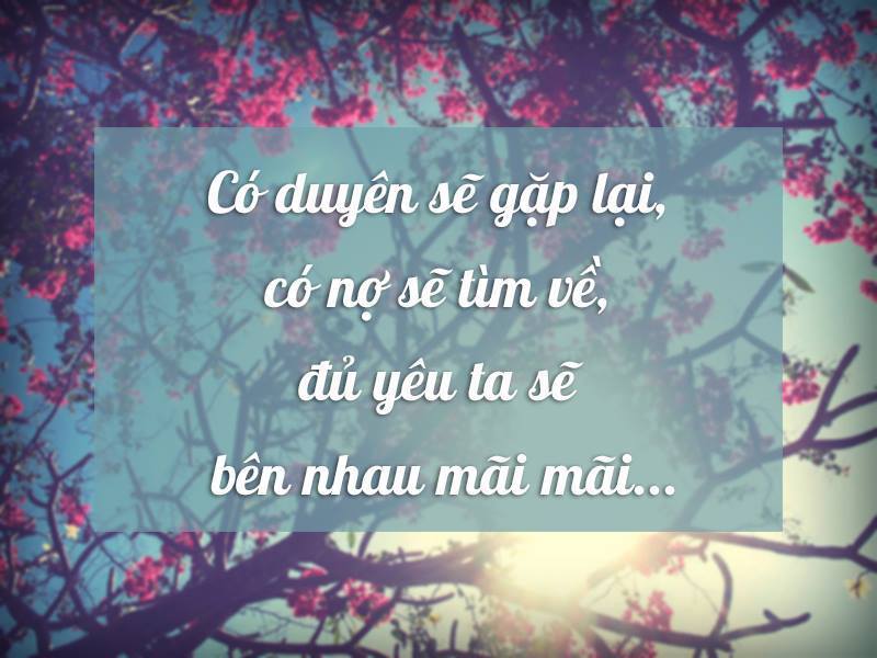 Câu Nói Hay Của Mẹ Dành Tặng Con Trai Ý Nghĩa Bậc Nhất 0
