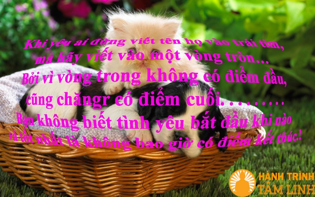 Những Câu Nói Hay Về Tình Yêu Đẹp Lung Linh, Lãng Mạn 1