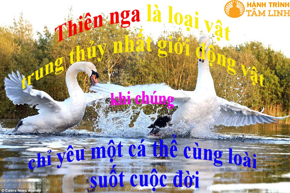 Những Câu Nói Hay Về Tình Yêu Quan Trọng Và Ý Nghĩa Bậc Nhất 0
