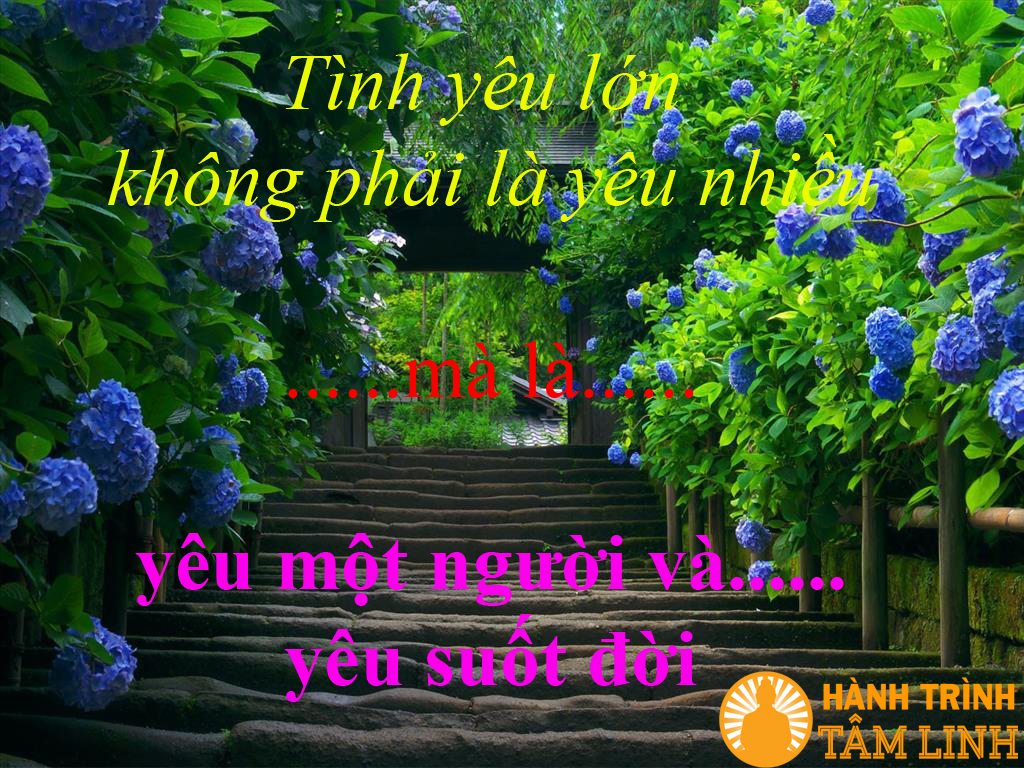 Những Câu Nói Hay Về Tình Yêu Muôn Màu Cho Bạn,Cho Tôi 1