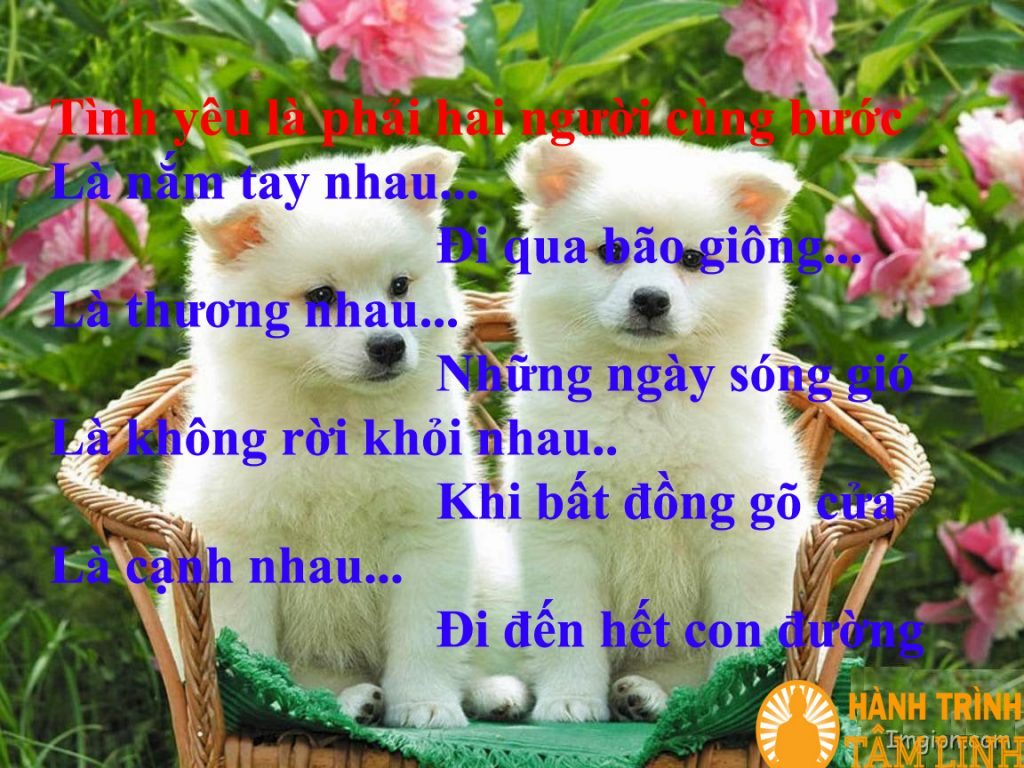 Những Câu Nói Hay Về Tình Yêu Muôn Màu Cho Bạn,Cho Tôi 2