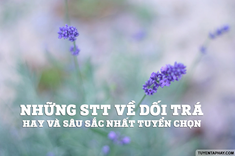 Những Câu Nói Hay Về Cuộc Sống Dối Trá Bạn Nên Biết 2