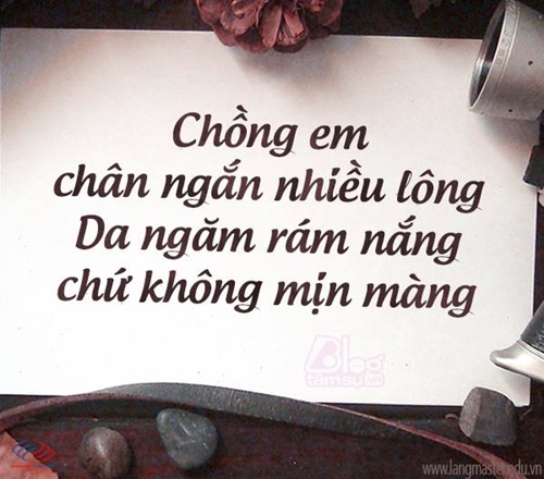 Những Câu Nói Hay Về Cuộc Sống Hôn Nhân Vui Bá Đạo 3