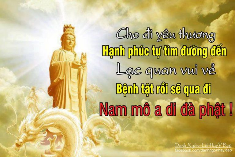 Câu Nói Hay Của Nick Vujicic Về Cuộc Sống Khiến Bạn Suy Ngẫm 3