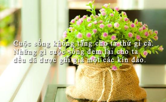 Câu Nói Hay Của Nick Vujicic Về Cuộc Sống Khiến Bạn Suy Ngẫm 5
