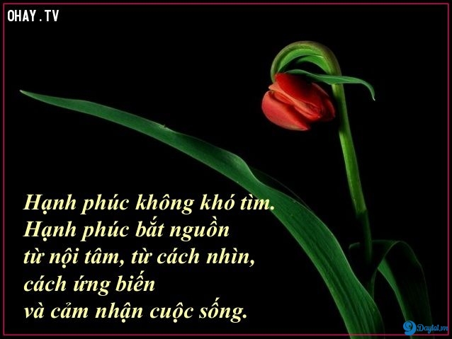 Câu Nói Hay Của Nick Vujicic Về Cuộc Sống Khiến Bạn Suy Ngẫm 7