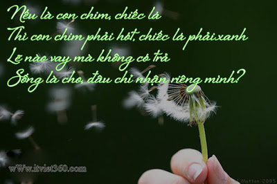 Câu Nói Hay Của Nick Vujicic Về Cuộc Sống Khiến Bạn Suy Ngẫm 12