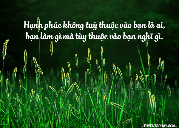 5O Câu Nói Hay Có Thể Thay Đổi Cuộc Sống Của Bạn 3